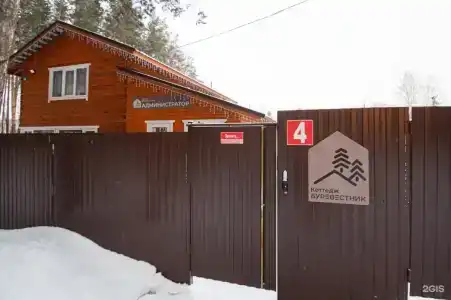 Буревестник - 4