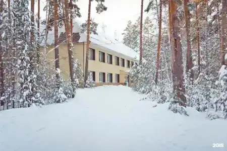 Лесное поместье - 18