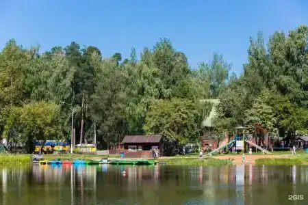 Берендеевка - 43