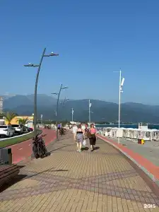 Sunny day - 111