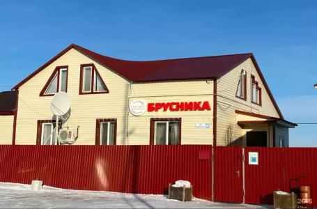 Брусника - 25