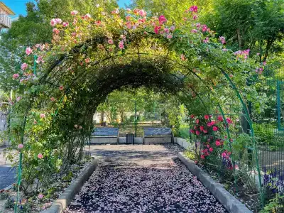 Звездочка - 4