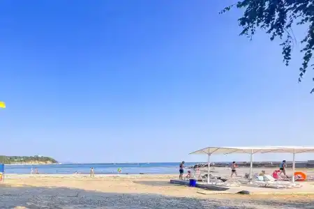 Звездочка - 11