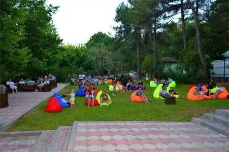 Звездочка - 22