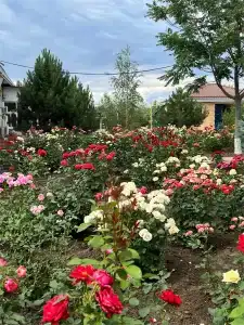 Усадьба Юзефова - 5