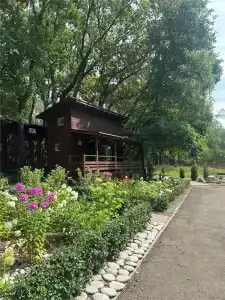 Рассвет - 20