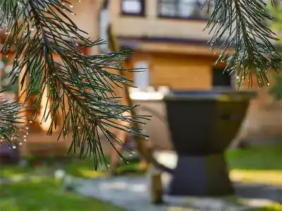 Богослово - 101