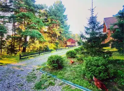 Богослово - 113