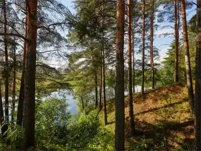 Богослово - 133