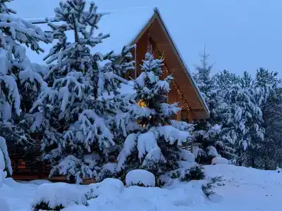 Богослово - 117