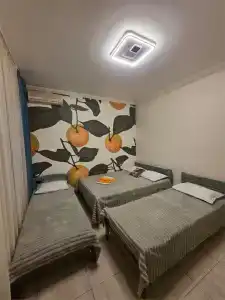 Мандарин - 84