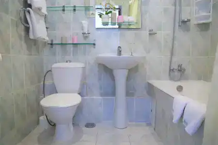 Десна - 235