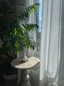 Берёзовка - 36