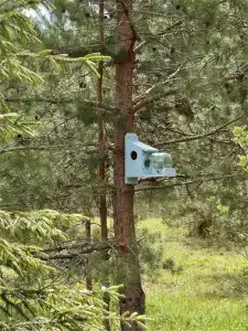 Ивашнёво - 17