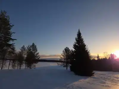 Айно - 42