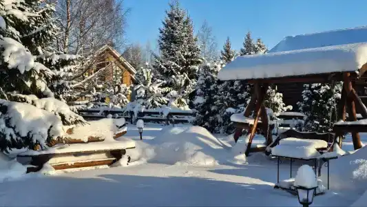 Ситинка - 115