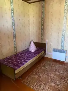 Соль - 12