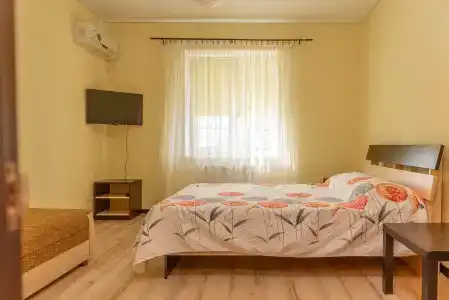 Guest house Aleks - 60
