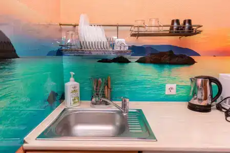 Guest house Aleks - 25