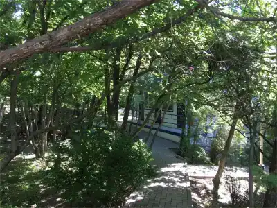 Черномор - 132