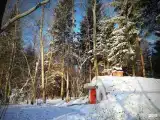 Домик Цветуньи