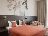 Номер стандарт с 1 двуспальной кроватью (вид на Волгу)