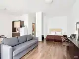 Студия с кухней