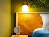 Стандарт двухкомнатный "Ботаника"