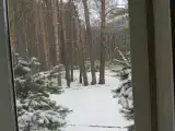 Четырехместный Стандарт