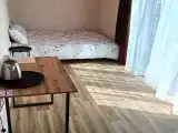 Стандартный семейный номер с 1 двуспальной кроватью и софой