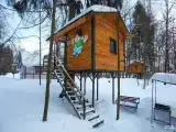 Дом Карлсона