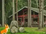 Золотая линия