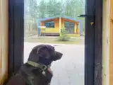 Гостевой дом "Семейный"