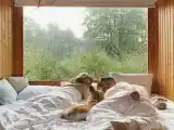Домик с сауной