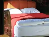 Рябиновый лес