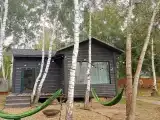 Коттедж стандарт Зеленый