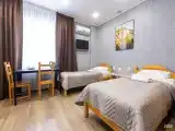 Номер с двумя отдельными кроватями и диваном