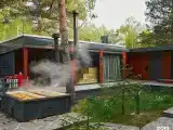 Кубик в соснах