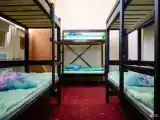 6ка мужская