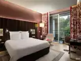 Стандартный номер с видом на парк - с двуспальной кроватью