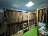 5 таёжный