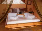 Сафари тент Таволга
