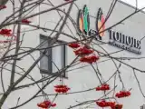 Гостевой номер Стандарт 1 / 4-х местный