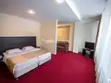 Двухместный номер Стандарт Плюс двуспальная кровать