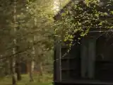 Первый дом