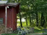 Дом Елены. Побеги