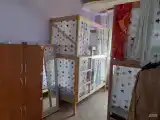 №5 Жен хГород 🏙️