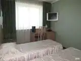 Бизнес-Твин