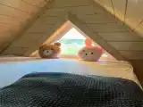 Барнхаус Гармония