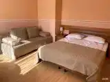 Двухместный номер Standard (двуспальная кровать)